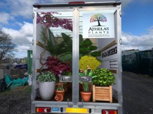 Athelas Plants 3D Van Rear Doors Concept Mockup