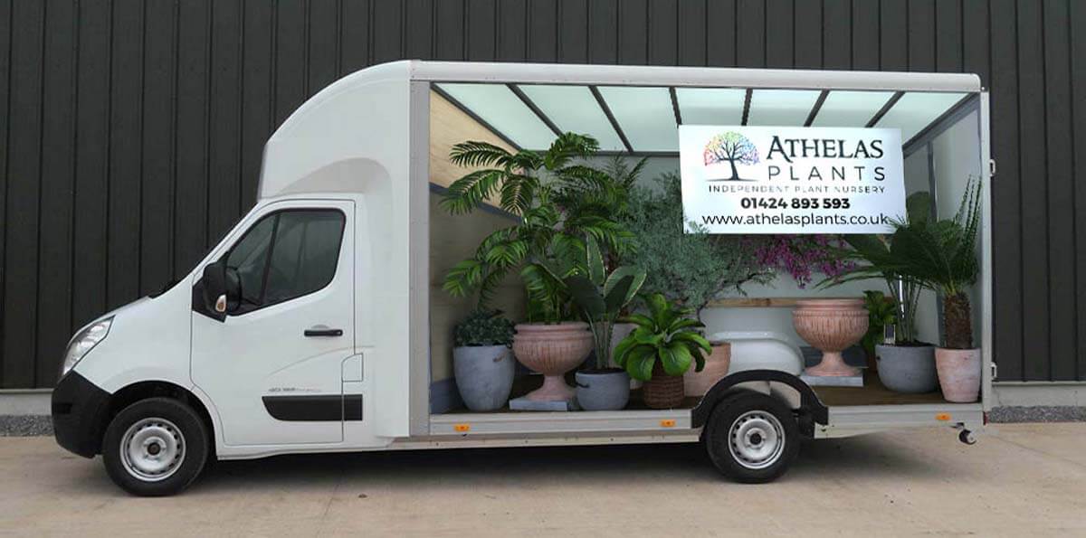 Athelas Plants Van 3D Wrap With Plants
