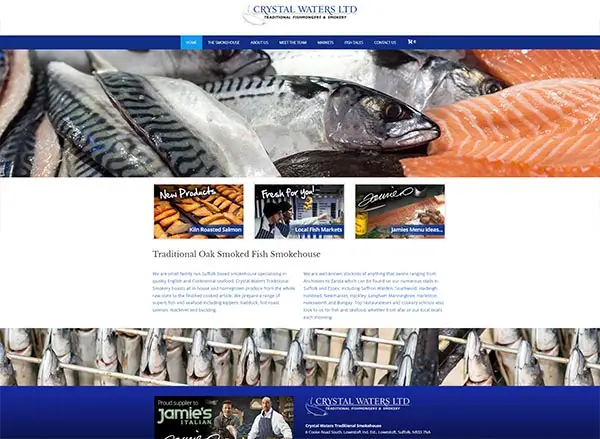 Crystal Waters Website Store Design