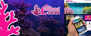 Cutthroat Corals New Web