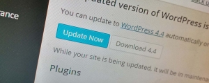 Wordpress Update 4.4