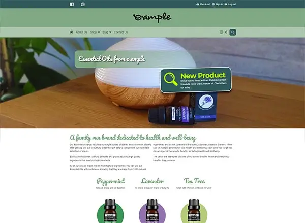 eample online shop website design